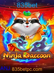 NinjaRaccoon
